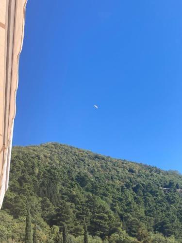 Studio Apartment For Rent In Budva Luaran gambar